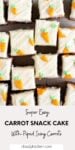 Carrot Snack Cake with Cream Cheese Frosting and piped carrots