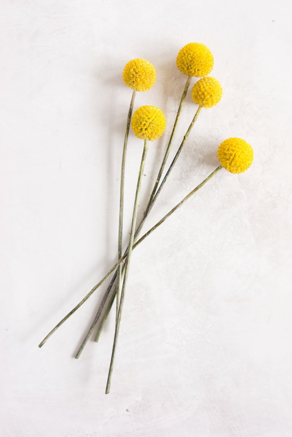 Earl Grey Cake with Raspberry Filling and Vanilla German Buttercream - A delicate earl grey infused cake, filled with a tart raspberry filling, and finished with a creamy vanilla bean german buttercream