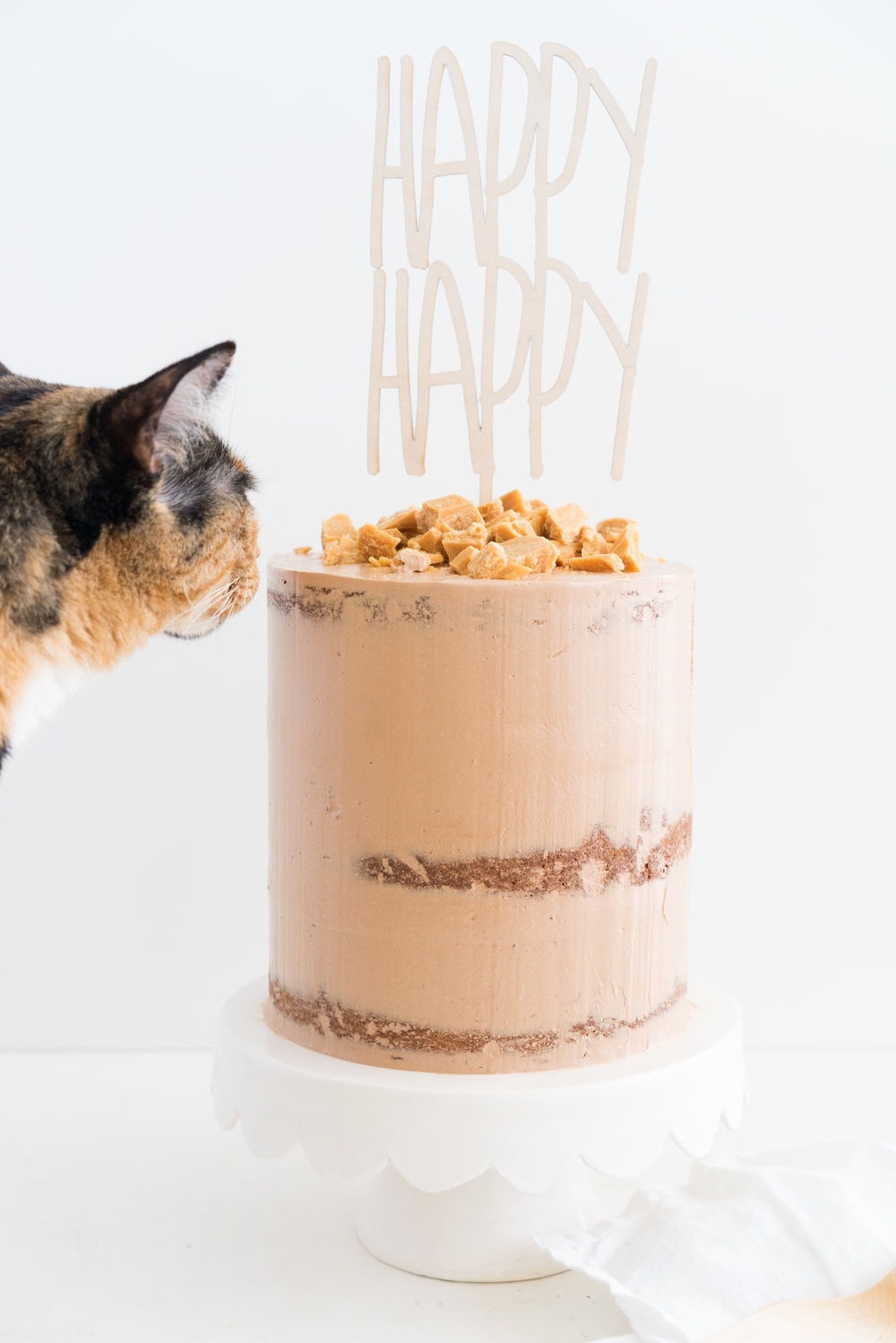 Peanut Butter Cake with Dark Chocolate Swiss Meringue Buttercream and Peanut Butter Crunch #cake #peanut butter