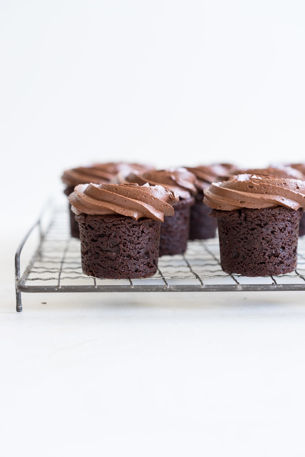 Hazelnut Brownie Bites with Dark Chocolate Hazelnut frosting. A dozen roses AND chocolate all in one go - you win valentines.