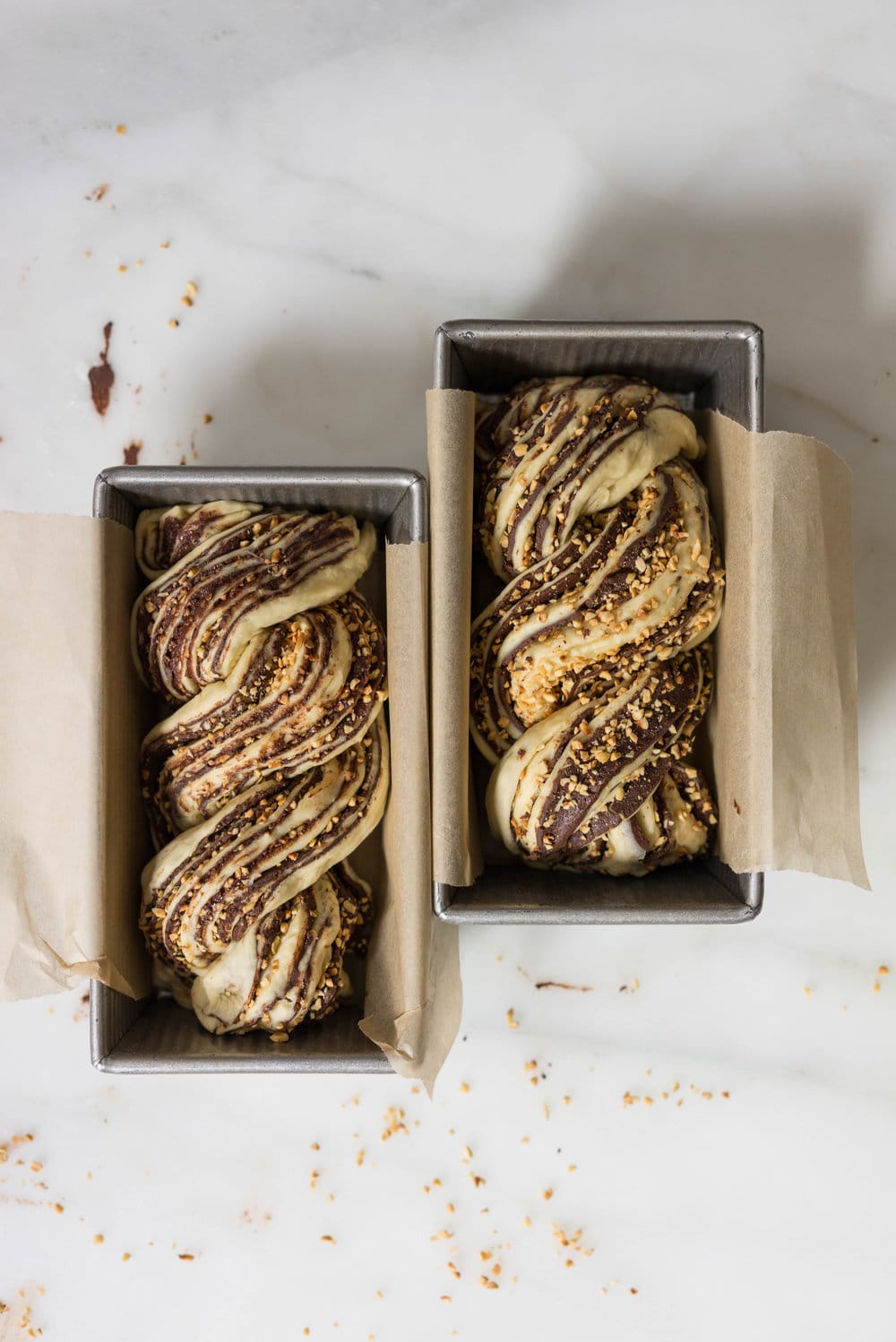 Chocolate Hazelnut Babka - fluffy brioche dough is rolled out and spread with a homemade hazelnut chocolate spread, sprinkled with chopped toasted walnuts, and rolled into swirly chocolatey loaves. The result is perfect for a coffee break, or an indulgent wee breakfast.