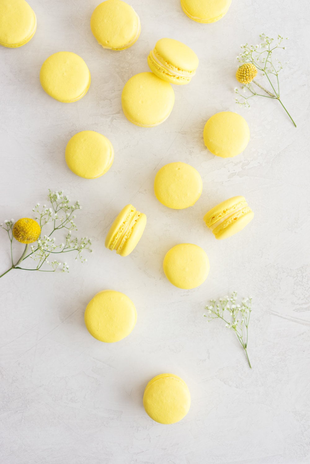 Lemon and Basil Macarons - French Macaron shells are filled with a lemon and basil cream, and a tart lemon gel. Delicate an intense flavours meld together to create the perfect bite.