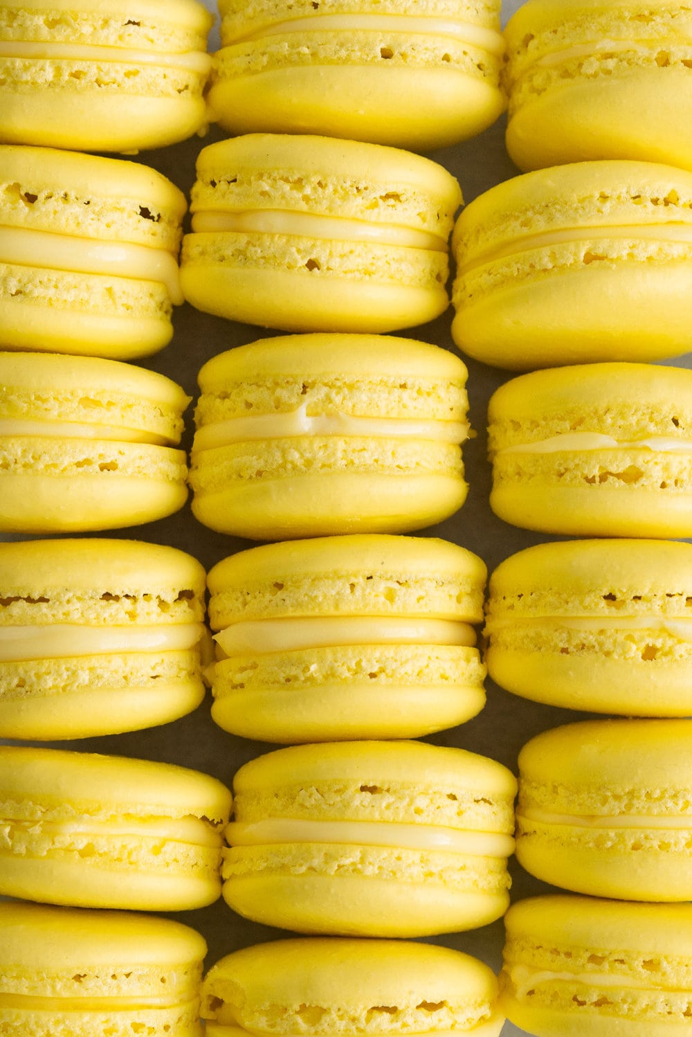 Lemon and Basil Macarons - French Macaron shells are filled with a lemon and basil cream, and a tart lemon gel. Delicate an intense flavours meld together to create the perfect bite.