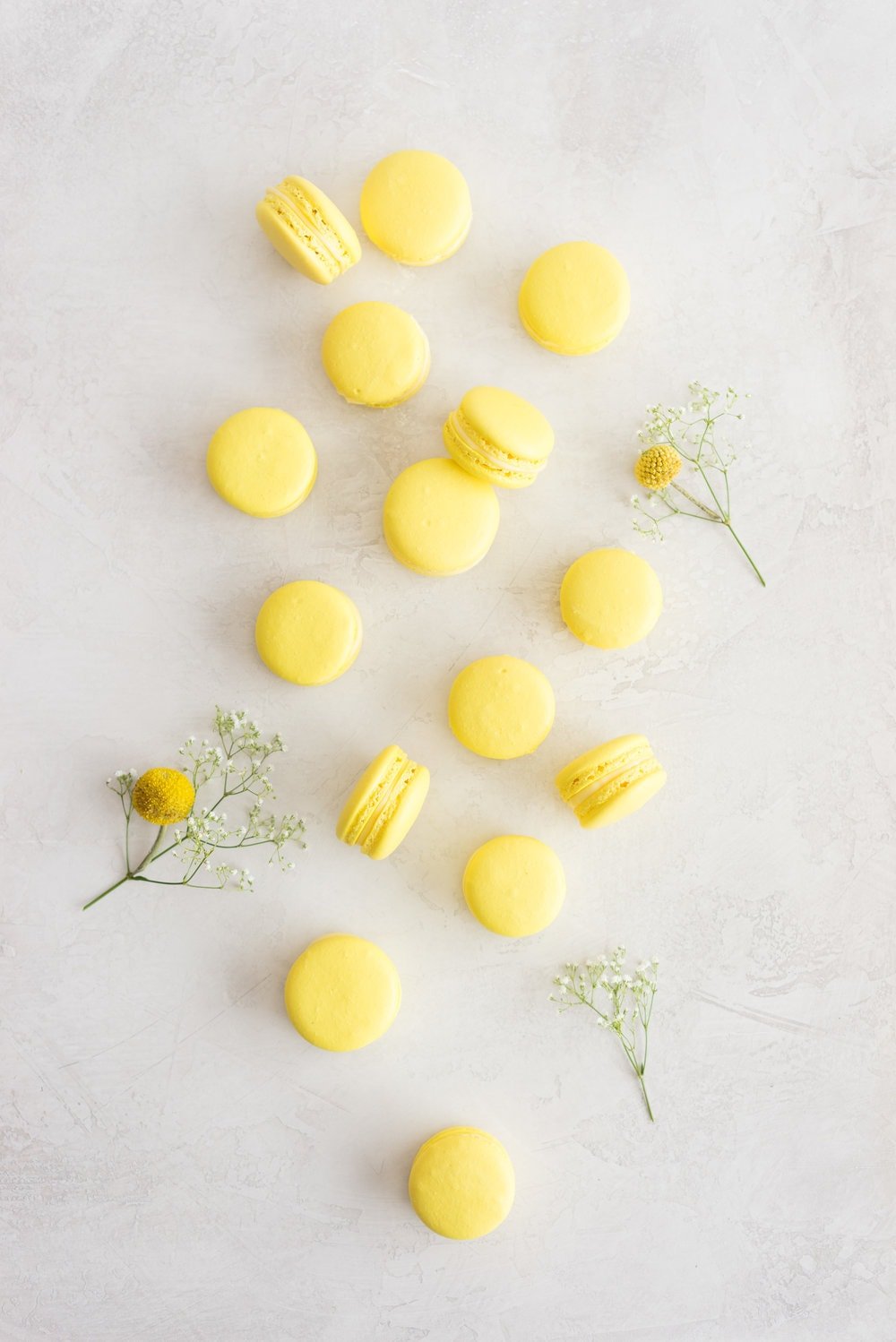 Lemon and Basil Macarons - French Macaron shells are filled with a lemon and basil cream, and a tart lemon gel. Delicate an intense flavours meld together to create the perfect bite.