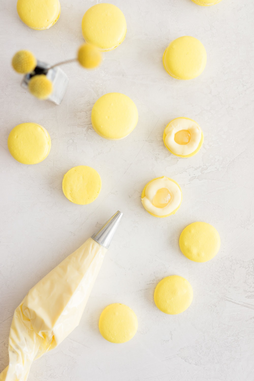 Lemon and Basil Macarons - French Macaron shells are filled with a lemon and basil cream, and a tart lemon gel. Delicate an intense flavours meld together to create the perfect bite.