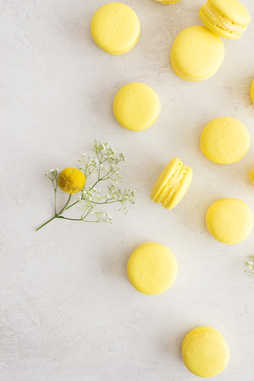 Lemon and Basil Macarons - French Macaron shells are filled with a lemon and basil cream, and a tart lemon gel. Delicate an intense flavours meld together to create the perfect bite.