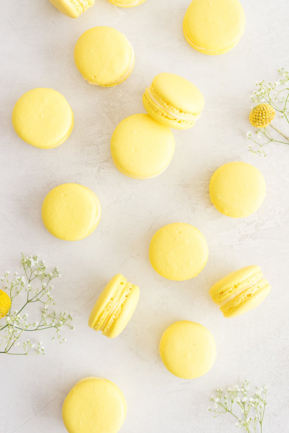 Lemon and Basil Macarons - French Macaron shells are filled with a lemon and basil cream, and a tart lemon gel. Delicate an intense flavours meld together to create the perfect bite.