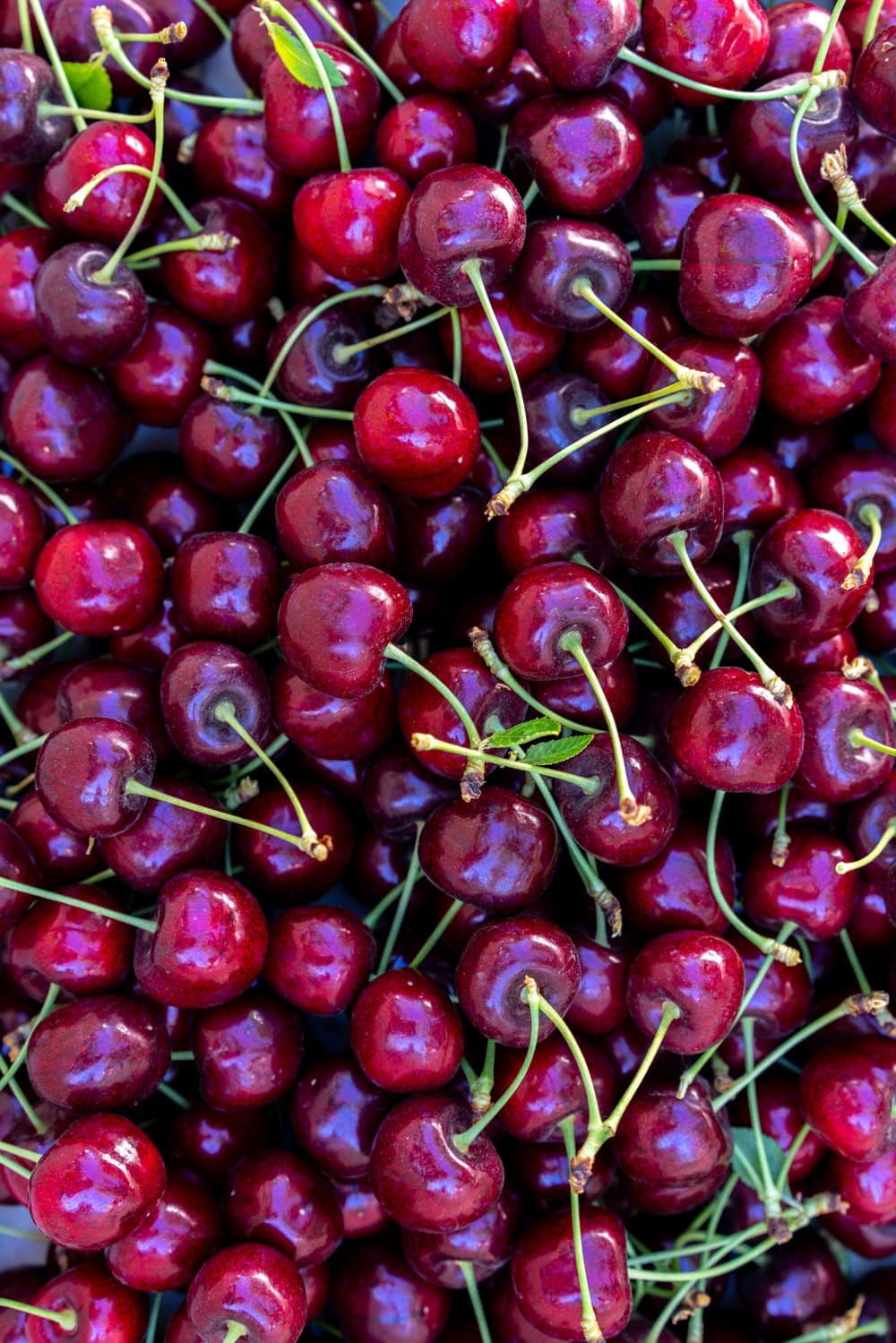 When you have beautiful, in season cherries, it really is a shame to do anything with it other than make Cherry Pie! These cherry pies are perfectly juicy, with the right balance of sweetness, and have a tender, flaky crust. They are easy to make, can be prepared ahead, and make the perfect summer dessert. #pie #cherrypie #recipe #darkcherrypie #fruitpie