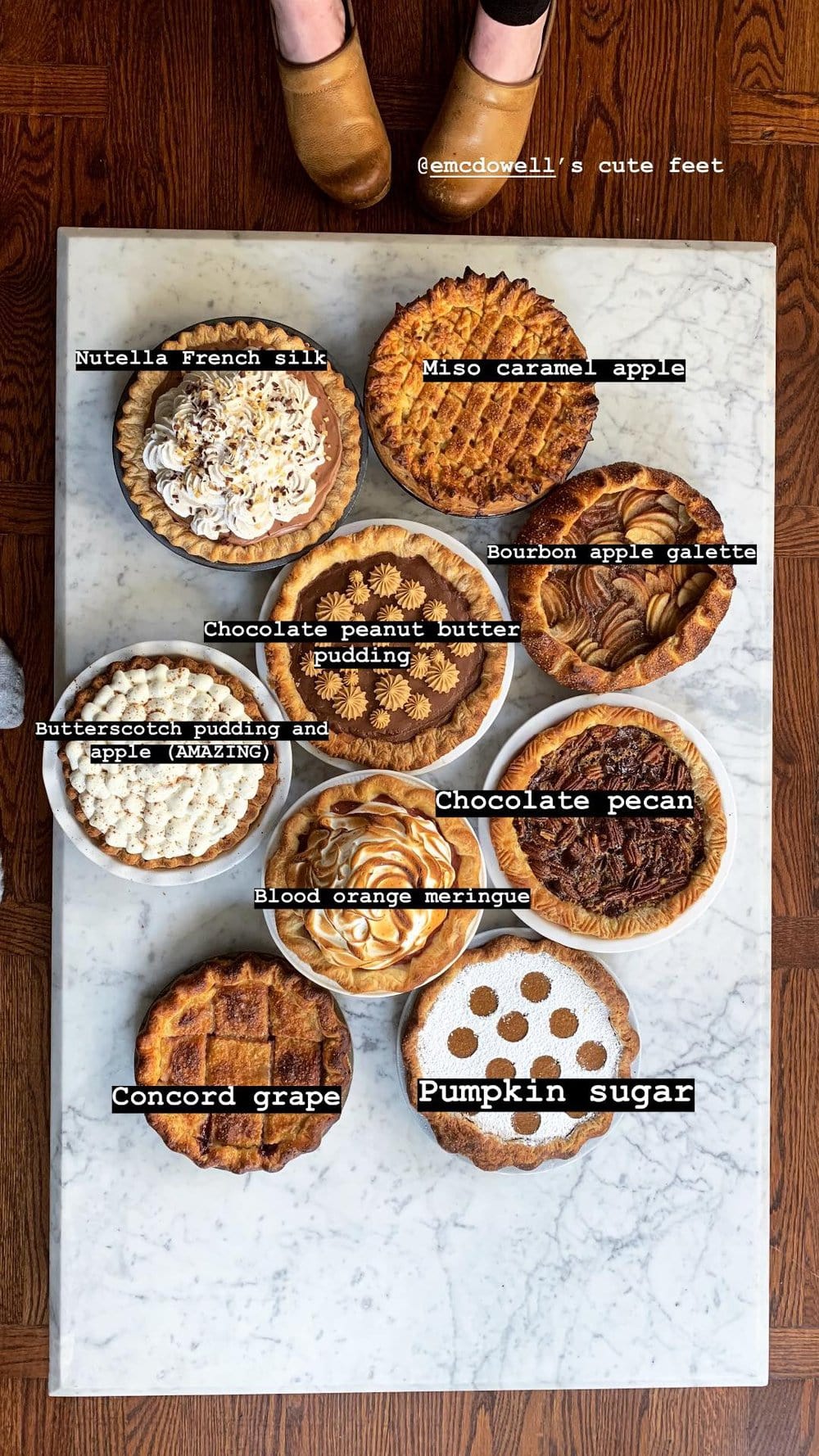 Nine of the Best Thanksgiving Pie Recipes: the Ultimate Pie Roundup Post! This roundup post lists some of the best thanksgiving pie recipes - there is literally something for everyone. Make just one or mix and match for the ultimate thanksgiving pie spread. #thanksgiving #pierecipes #roundup