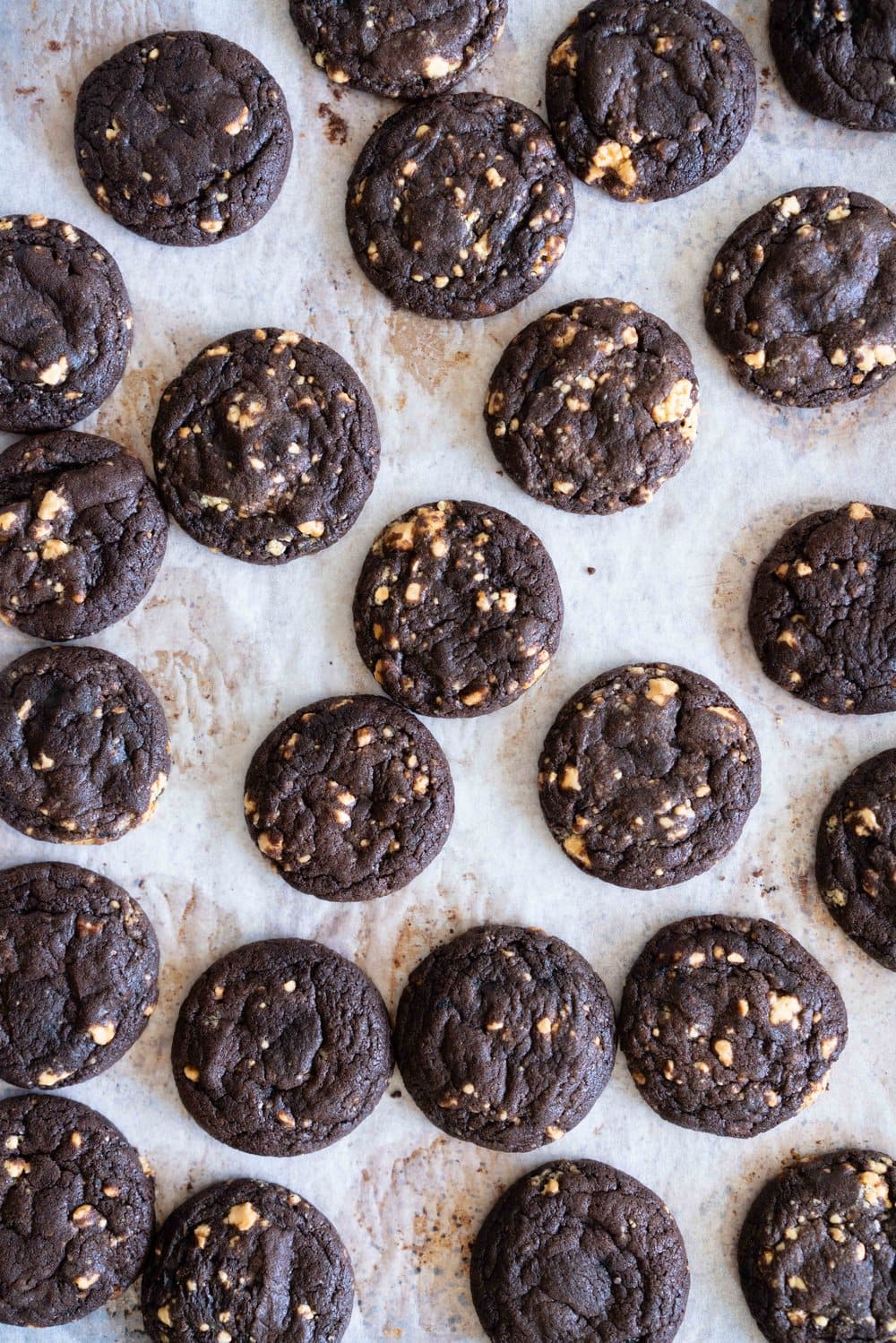 Caramelised White Chocolate Brownie Cookies with Salted Dark Chocolate German Buttercream. Perfect tiny mouthfuls of soft chocolate brownie cookie filled with caramelised white chocolate specks, and sandwiched with silky buttercream. These are bound to become your new favourite. #sandwichcookies #browniecookie #germanbuttercream