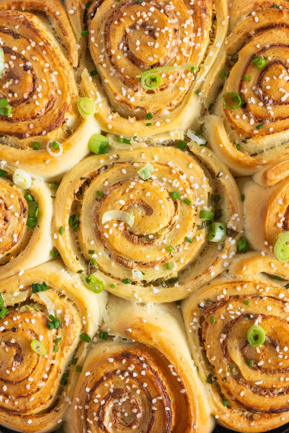 Cheese, Spring Onion, and Chive Brioche Buns - fluffy brioche is rolled out thin, then spread with a cheese sauce filling, sprinkled with spring onion and chives, and rolled up into a tight spiral. It is then cut up into buns, snuggled into a skillet, and baked to golden perfection. The perfect savoury bun! #cheesebuns #cheeserolls #cheeseandchive