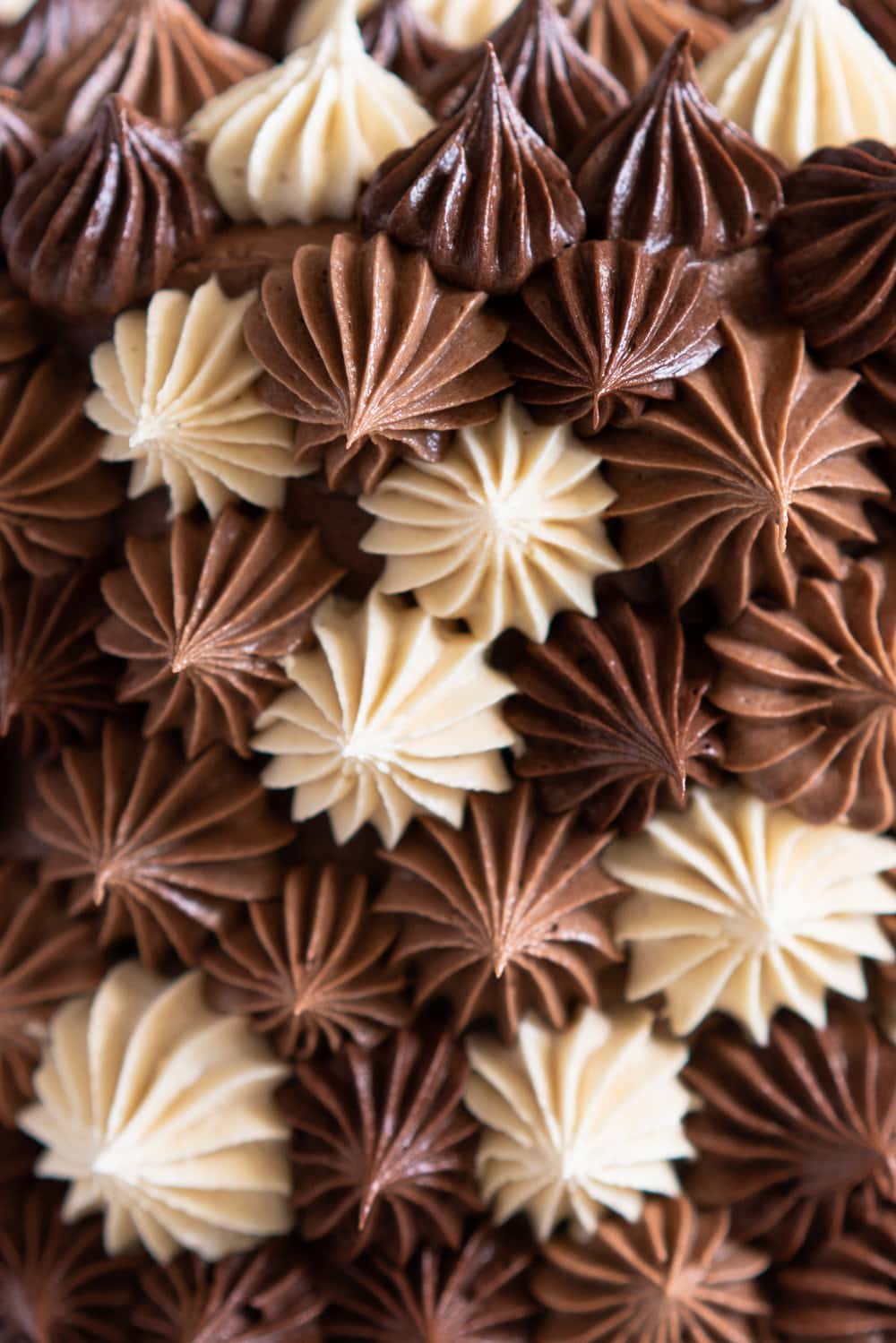 Chocolate and Peanut Butter Layer Cake with Chocolate and Peanut Butter Buttercream - this party cake is from the latest book from Bake from Scratch Magazine. Soft chocolate and peanut butter cake layers are sandwiched with chocolate and peanut butter buttercream, then finished off with playful blobs of the buttercream to create the perfect chocolate ombre cake. This cake is easy to make and is great to serve a crowd - you can't go wrong with peanut butter and chocolate! #chocolatecake #peanutbuttercake #chocolatebuttercream #peanutbutterbuttercream