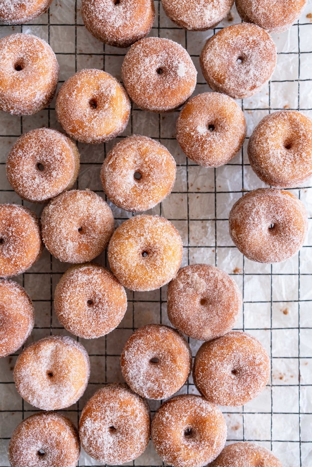 Fluffy miniature brioche doughnuts - an easy brioche dough is given an overnight rise, then rolled out and cut into tiny, perfect doughnuts, which are fried until golden brown, then rolled in cinnamon sugar. The perfect mouthful of fluffy doughnut, and sweet, spicy sugar. #briochedoughnut #cinnamonsugar #yeastdoughnut
