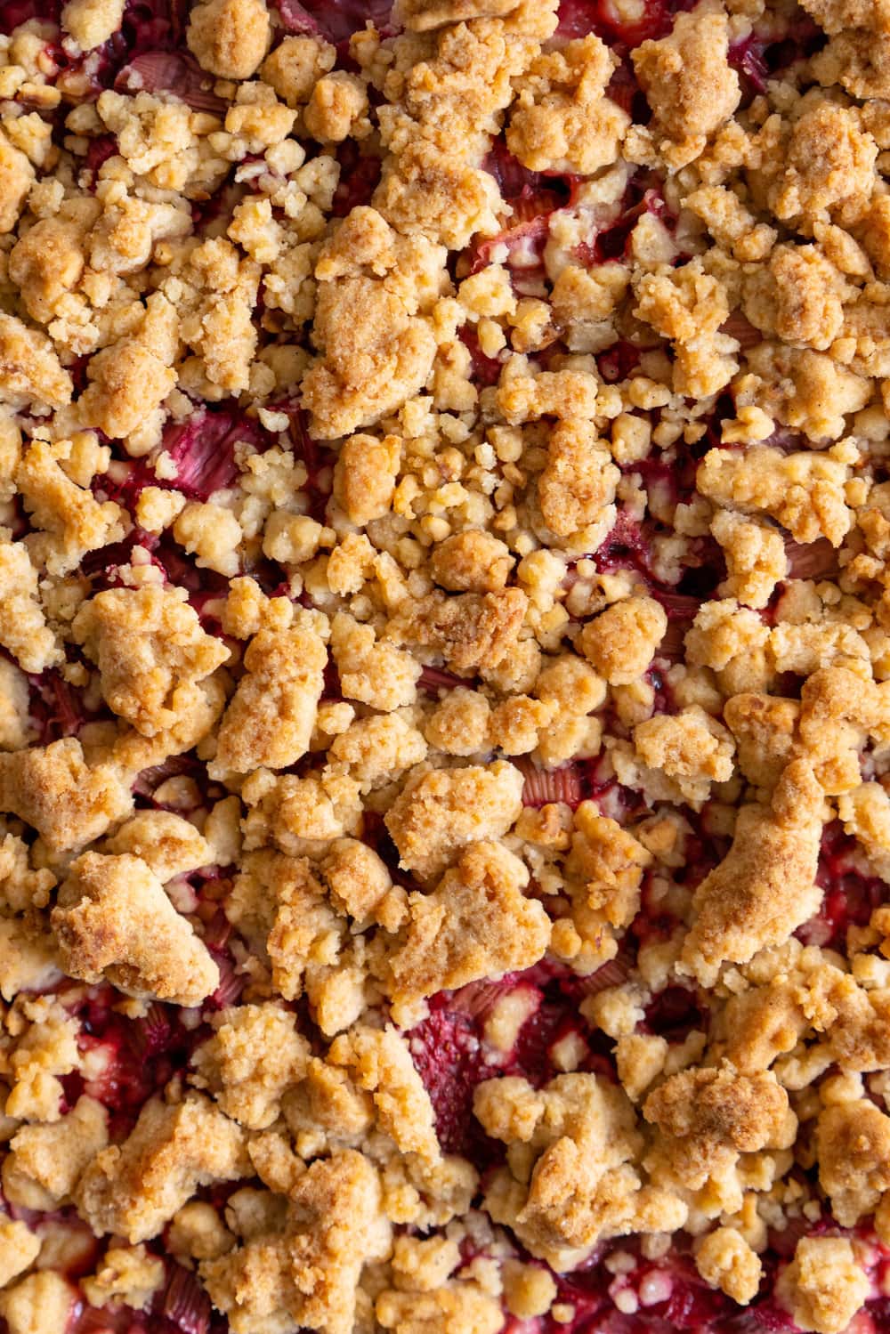 Brown Butter Hazelnut Strawberry Rhubarb Crumb Bars - a brown butter hazelnut shortbread is used as both the base and the crumble topping for these strawberry rhubarb crumb bars. These are the perfect early summer easy dessert! #crumbbars #strawberryrhubarb #brownbutter
