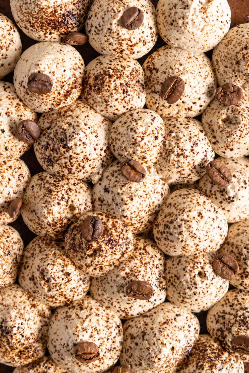 Mocha Cream pie with espresso whipped cream - a crispy blind baked pie crust is filled with a mocha pudding filling and topped with clouds of espresso flavoured whipped cream, before being finished off with coffee beans and espresso powder. This pie is super simple to make and is a coffee lover's dream. #mochapie #creampie #mocha #cloudykitchenpie