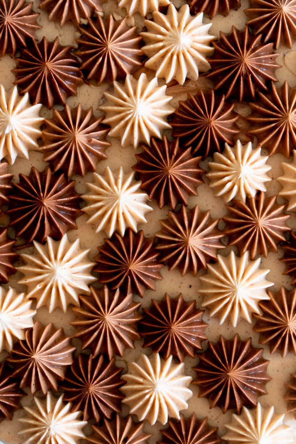 Apple Cider Layer Cake with Spiced Caramel Swiss Meringue Buttercream. This layer cake has reduced apple cider added to the batter, giving it a delicate apple flavour. It is finished with spiced salted caramel swiss meringue buttercream with an ombre finish.  #applecidercake #caramelbuttercream #swissmeringue