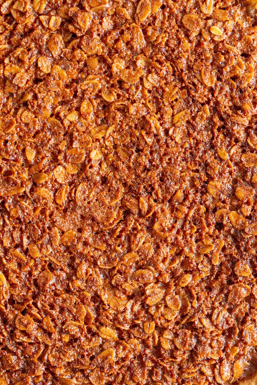 Brown Butter Oatmeal Pie - this is a pecan pie but without the pecans, which makes it the perfect pie for those who can't have nuts but still want the pecan pie experience. Toasted oats are mixed with brown butter and golden syrup for a chewy, perfect pie.