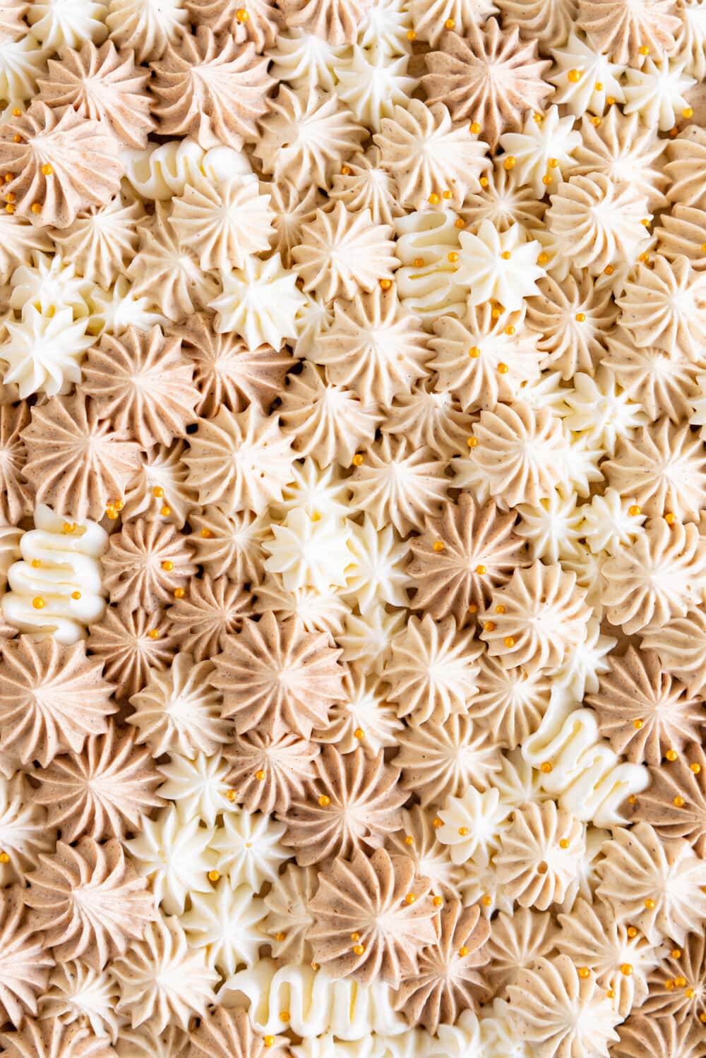 Apple Snack Cake with Ombre Walnut Praline Swiss Meringue Buttercream - a tender wholemeal apple cake is topped with swirls of buttercream made with swiss meringue buttercream flavoured with a nutty walnut praline