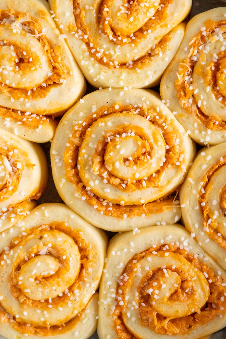 Tomato and Ricotta Pesto pull-apart buns. This easy bread dough has no eggs and no butter, making it the perfect easy dough. It is rolled out and filled with a tomato and ricotta pesto mixture and parmesan cheese, then rolled up and cut into buns and baked into perfect pull apart buns. These buns are great alongside a soup or as a delicious easy snack.