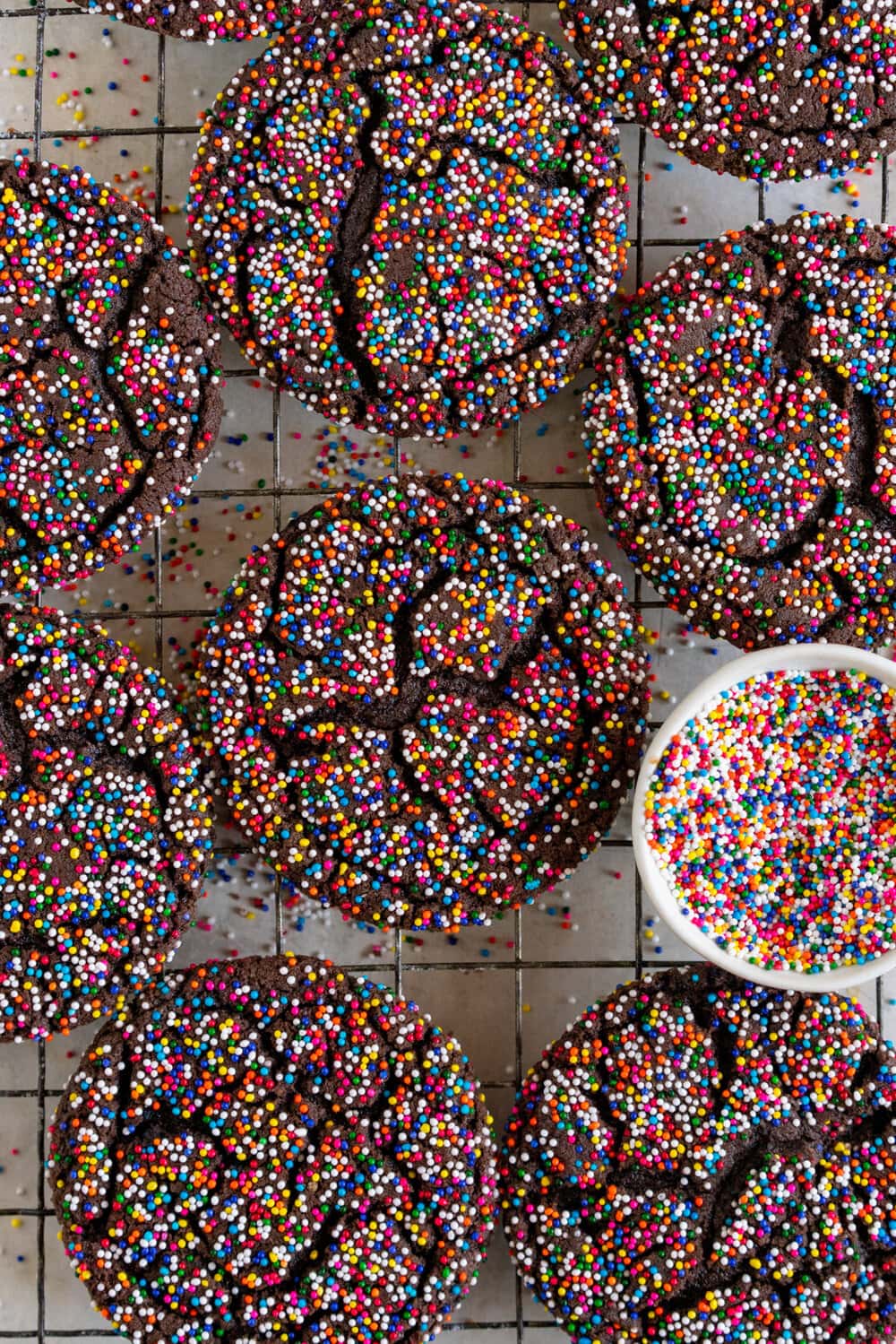 Chocolate Sprinkle Sugar Cookies. These chocolate sugar cookies are thin and chewy, and rolled in sprinkles instead of the traditional sugar, which gives them a perfect crunch and super cute rainbow sprinkle finish. These are similar to crinkle cookies, but the sprinkle coating makes them extra cute, and they are so easy to make!