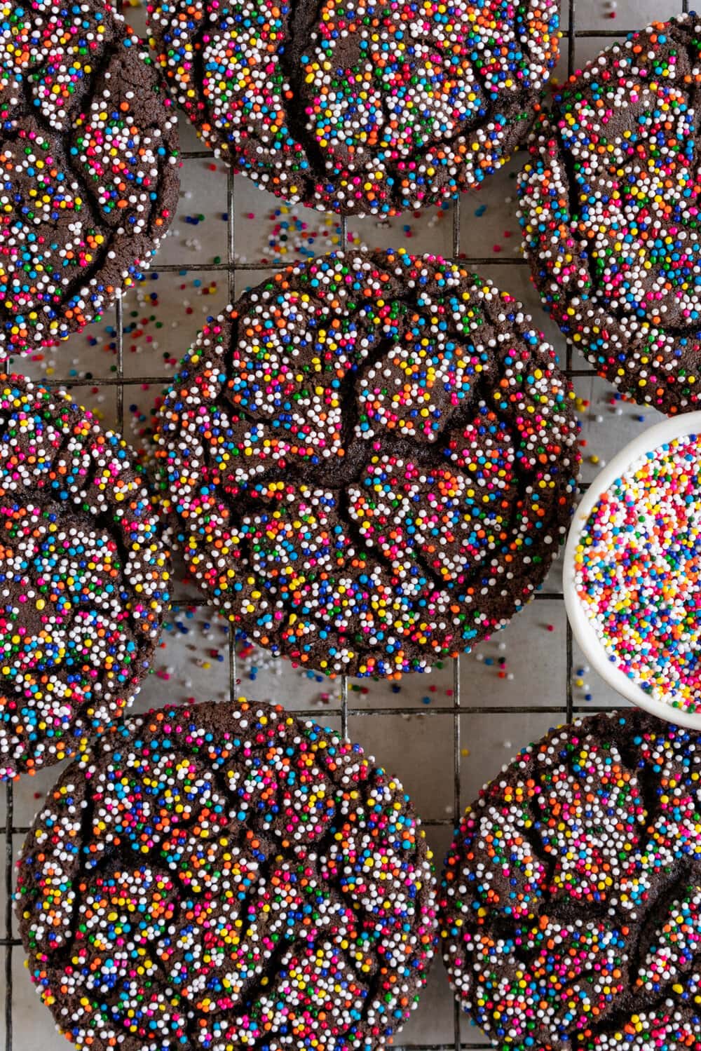 Chocolate Sprinkle Sugar Cookies. These chocolate sugar cookies are thin and chewy, and rolled in sprinkles instead of the traditional sugar, which gives them a perfect crunch and super cute rainbow sprinkle finish. These are similar to crinkle cookies, but the sprinkle coating makes them extra cute, and they are so easy to make!