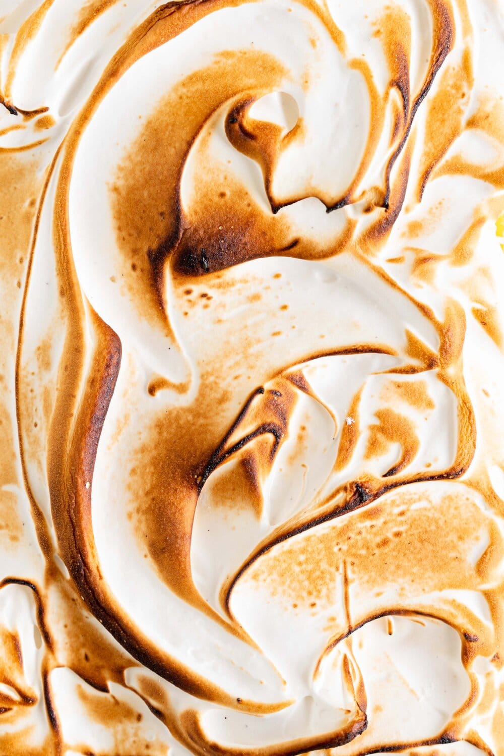 Small Batch No-Bake Passionfruit and Lemon Meringue Bars. A buttery graham crust is topped with a smooth lemon and passionfruit filling, and topped with a torched Swiss meringue. These lemon and passionfruit bars are easy to make and do not need an oven, making them the perfect summer dessert!