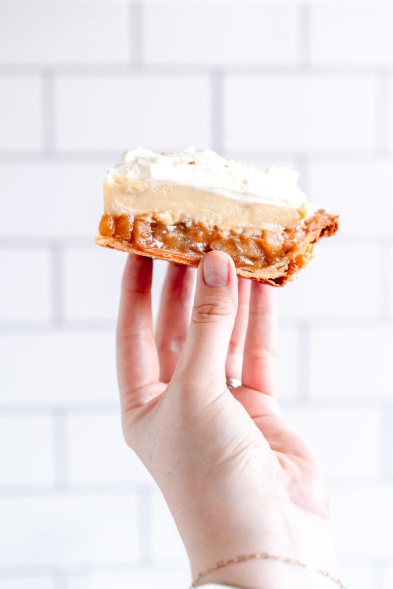 Hand holding slice of pie