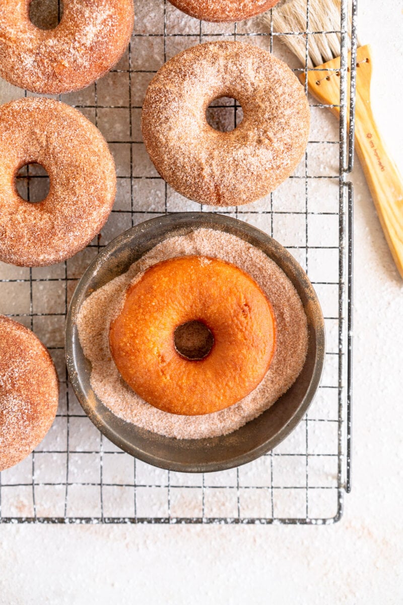 top down photo of doughnut in cinnamon sugar