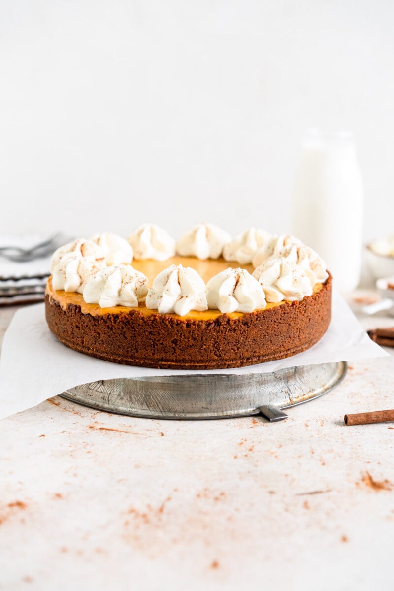 side on shot of baked pumpkin cheesecake