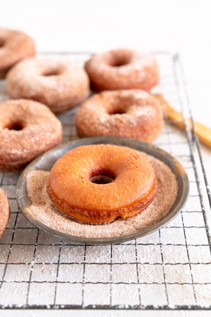 fried doughnut in cinnamon sugar