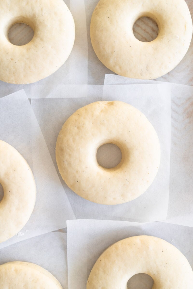 yeasted doughnuts ready to be fried