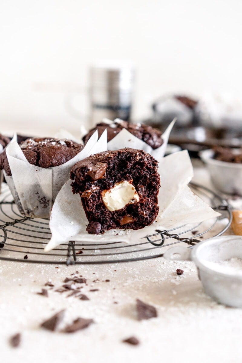 chocolate muffin with bite taken out of it