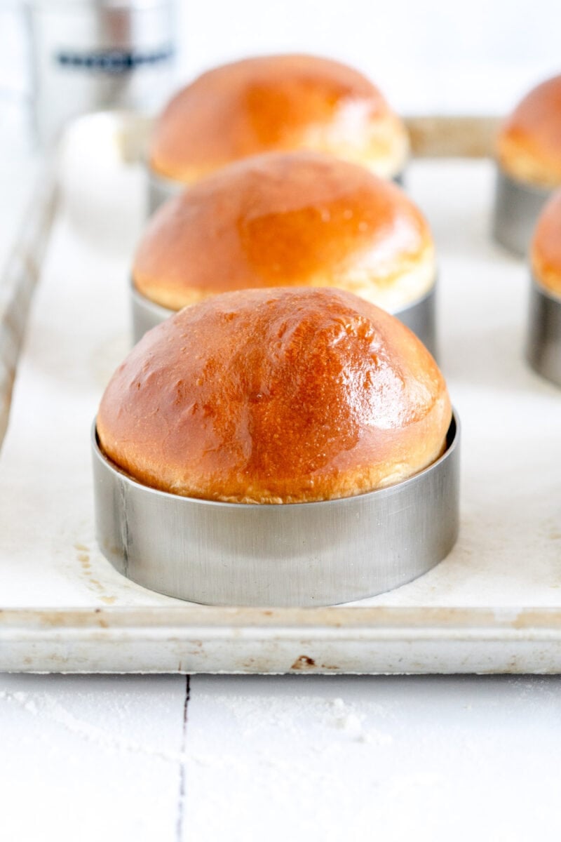 burger bun in bun ring