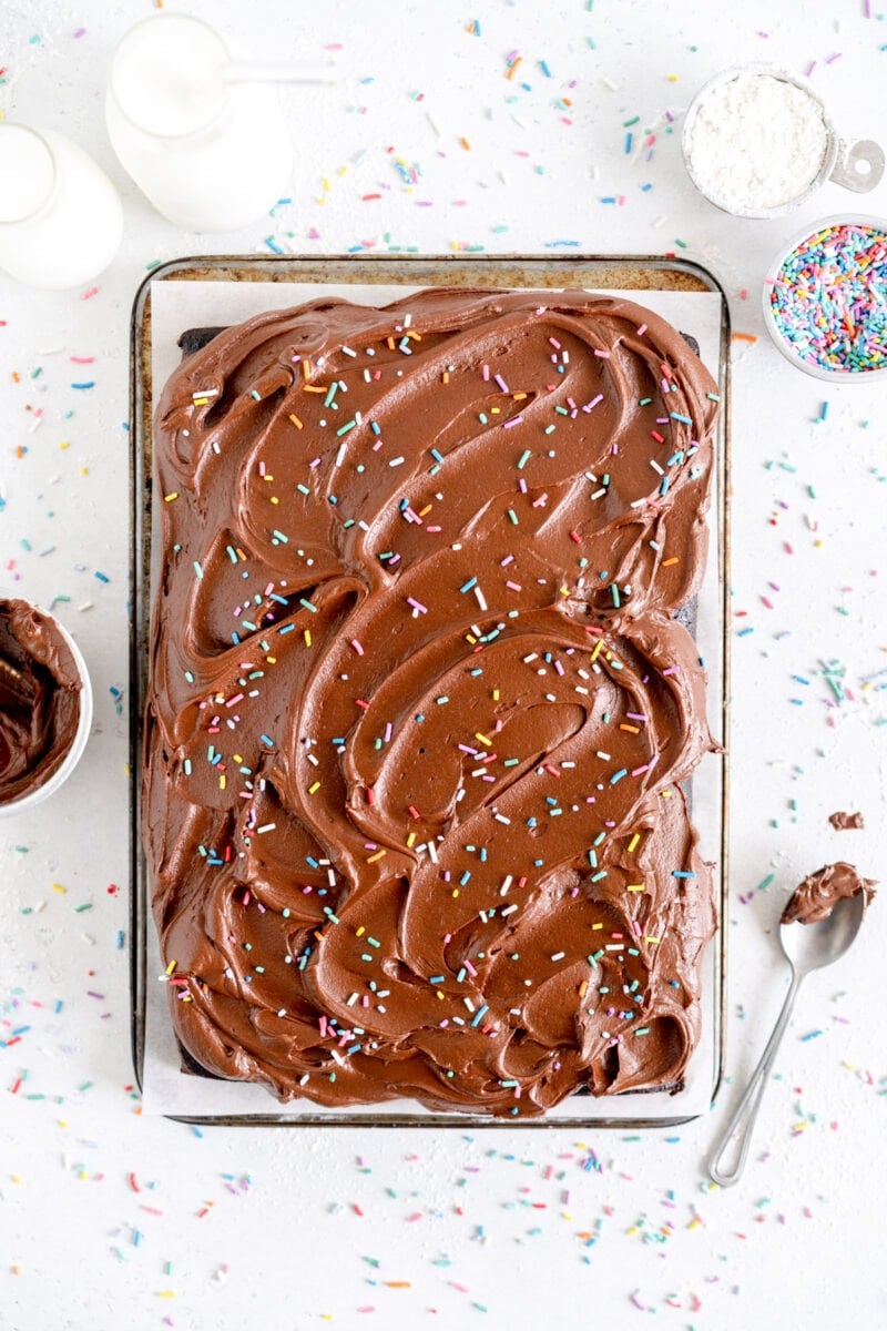 chocolate cake with frosting and sprinkles