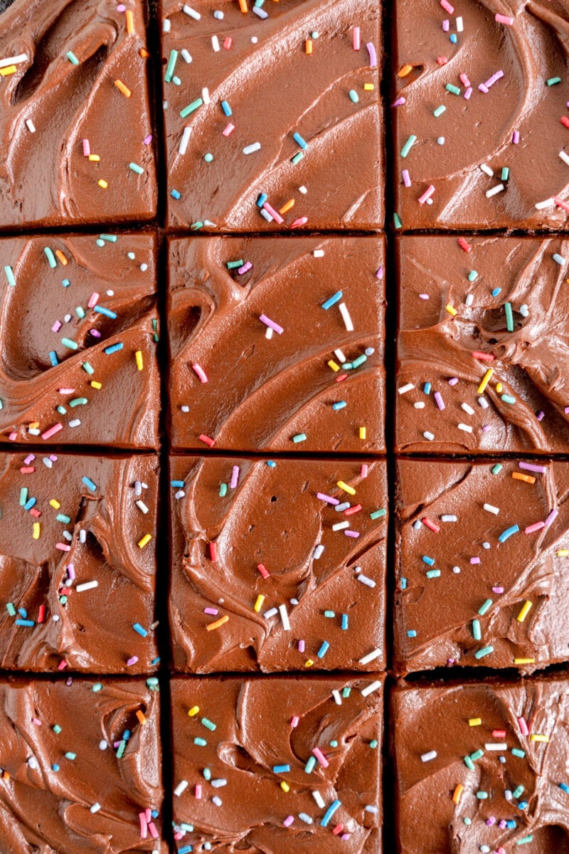 cut shot devil's food cake