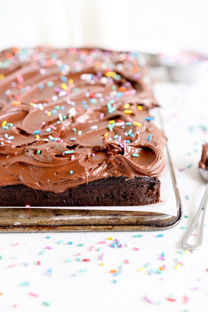 side shot chocolate cake with frosting swirl