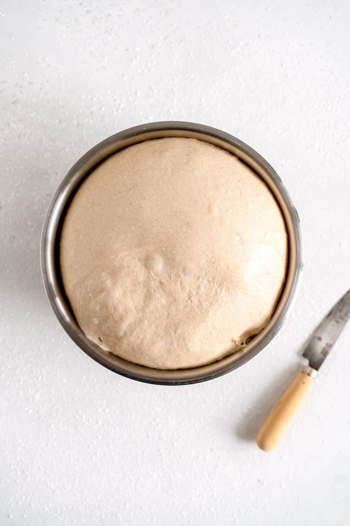 vegan cinnamon roll dough