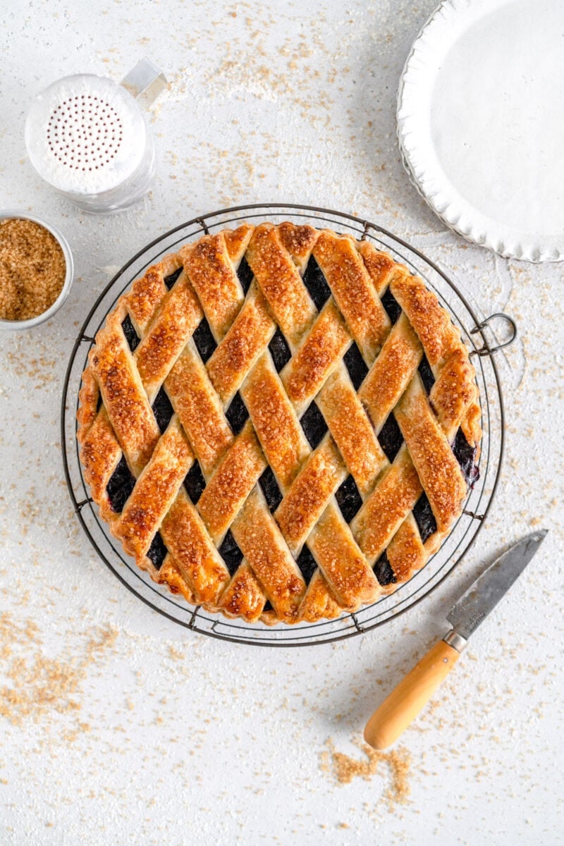 baked blueberry crostata
