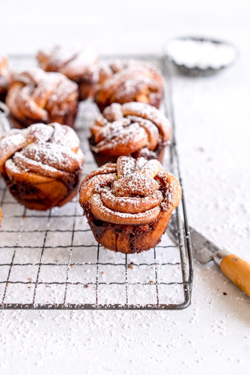 angle shot of cinnamon bun twist