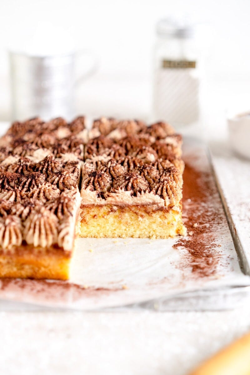 side cut shot of tiramisu sheet cake