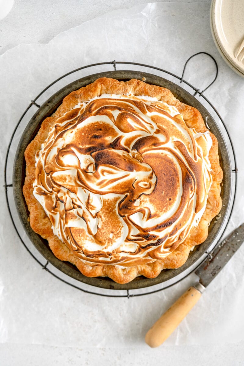 torched lemon meringue pie