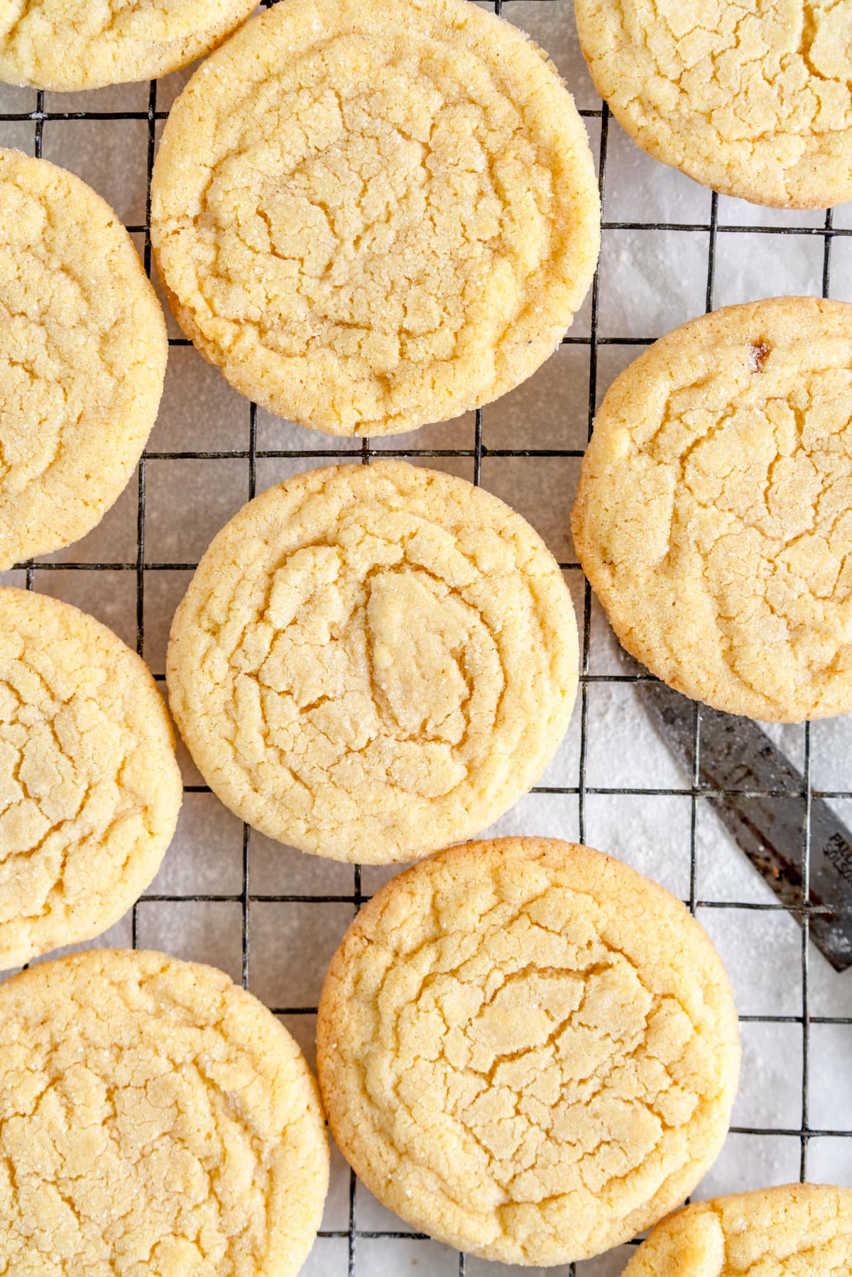 close up batch of vanilla cookies on wire rack
