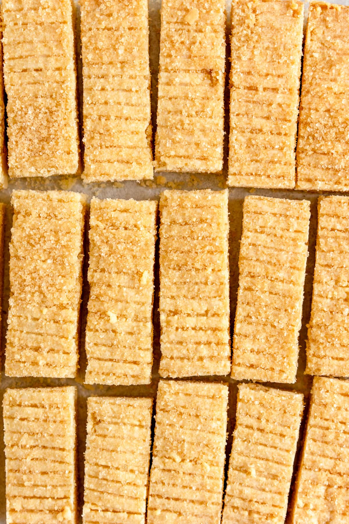 close up of shortbread bars