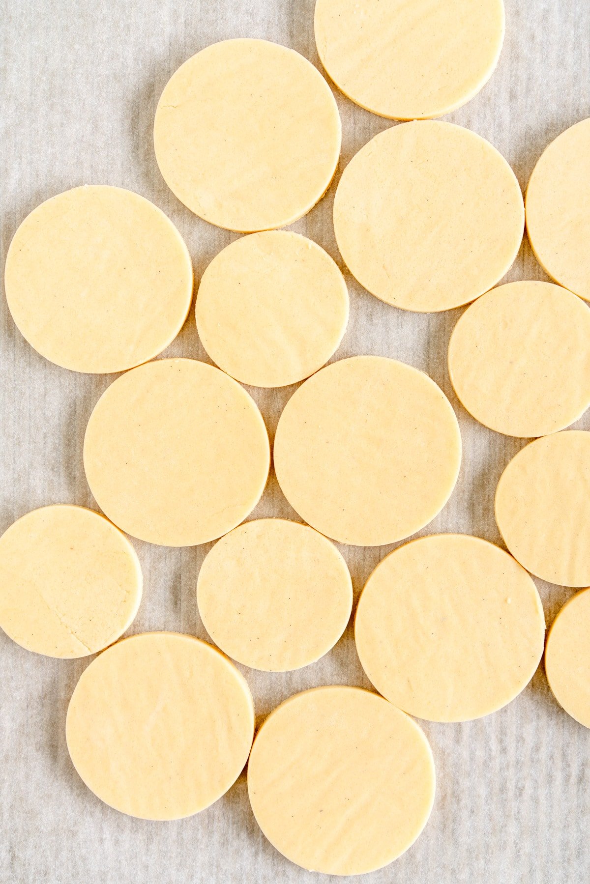 unbaked sugar cookie discs on pan