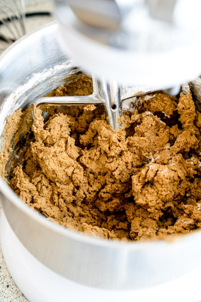 gingerbread cookie dough