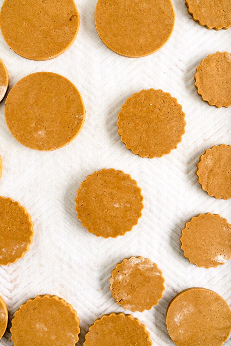 cut out gingerbread cookie dough