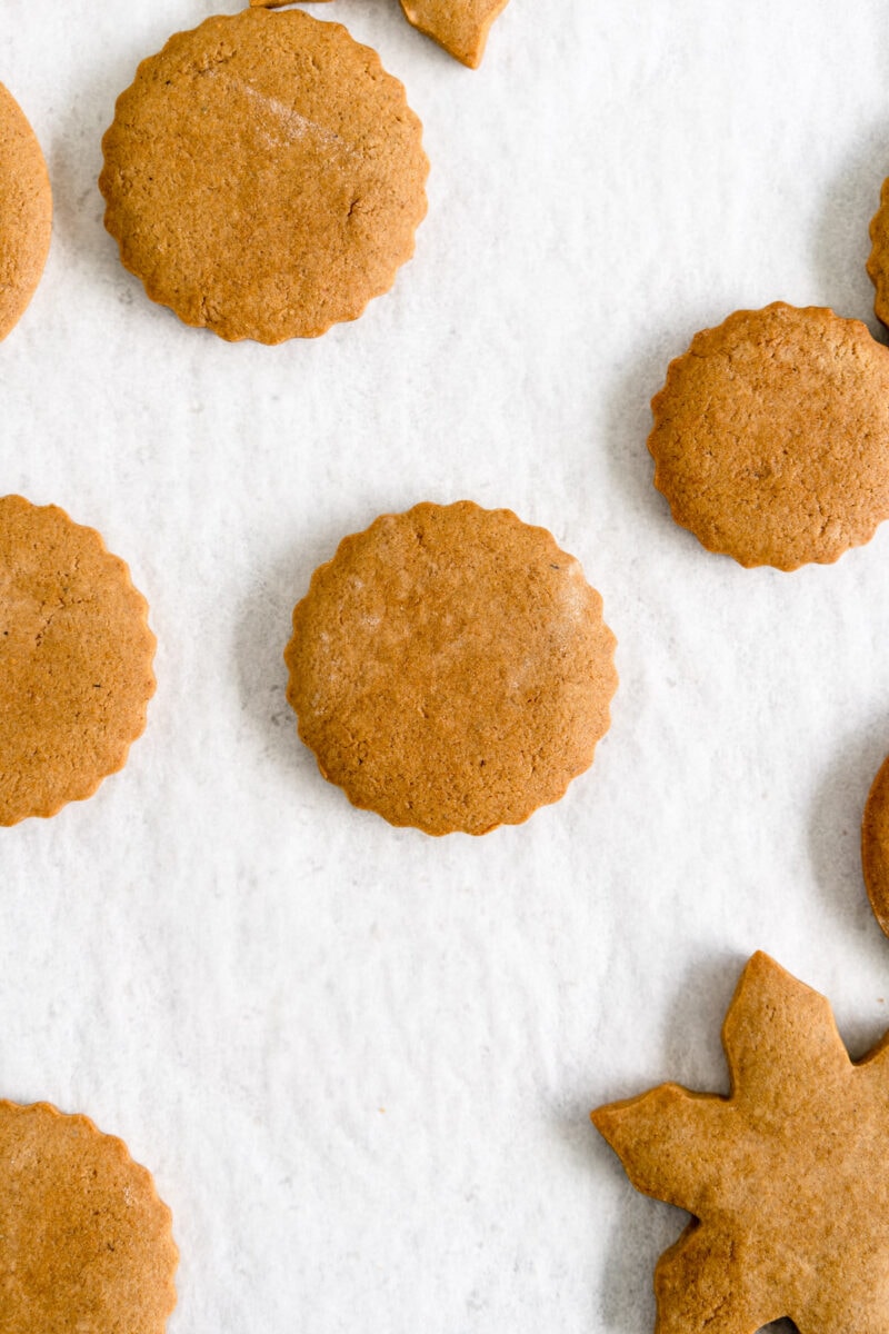 baked gingerbread cookie