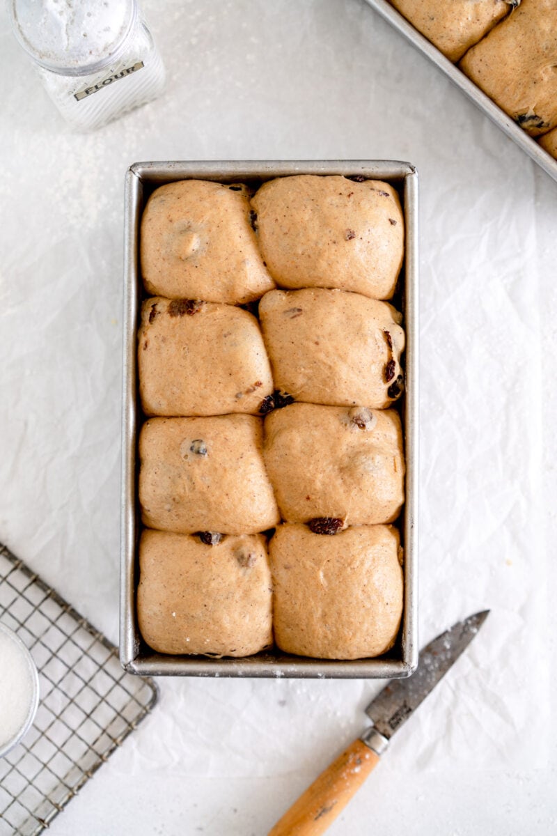 risen cinnamon raisin bread dough