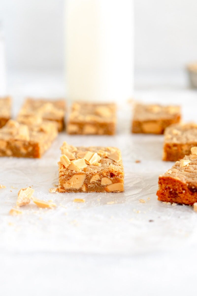 side on shot of blondie with chocolate chips