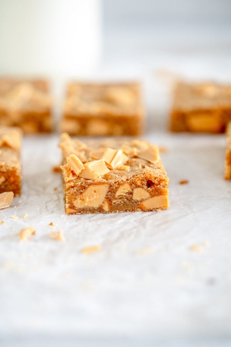 close up shot of blondies